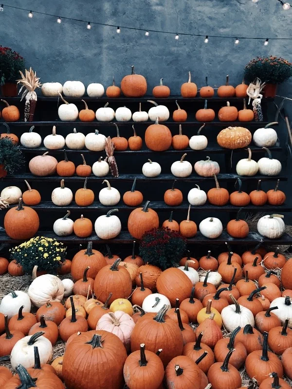 The best Halloween DIY decor of 2020